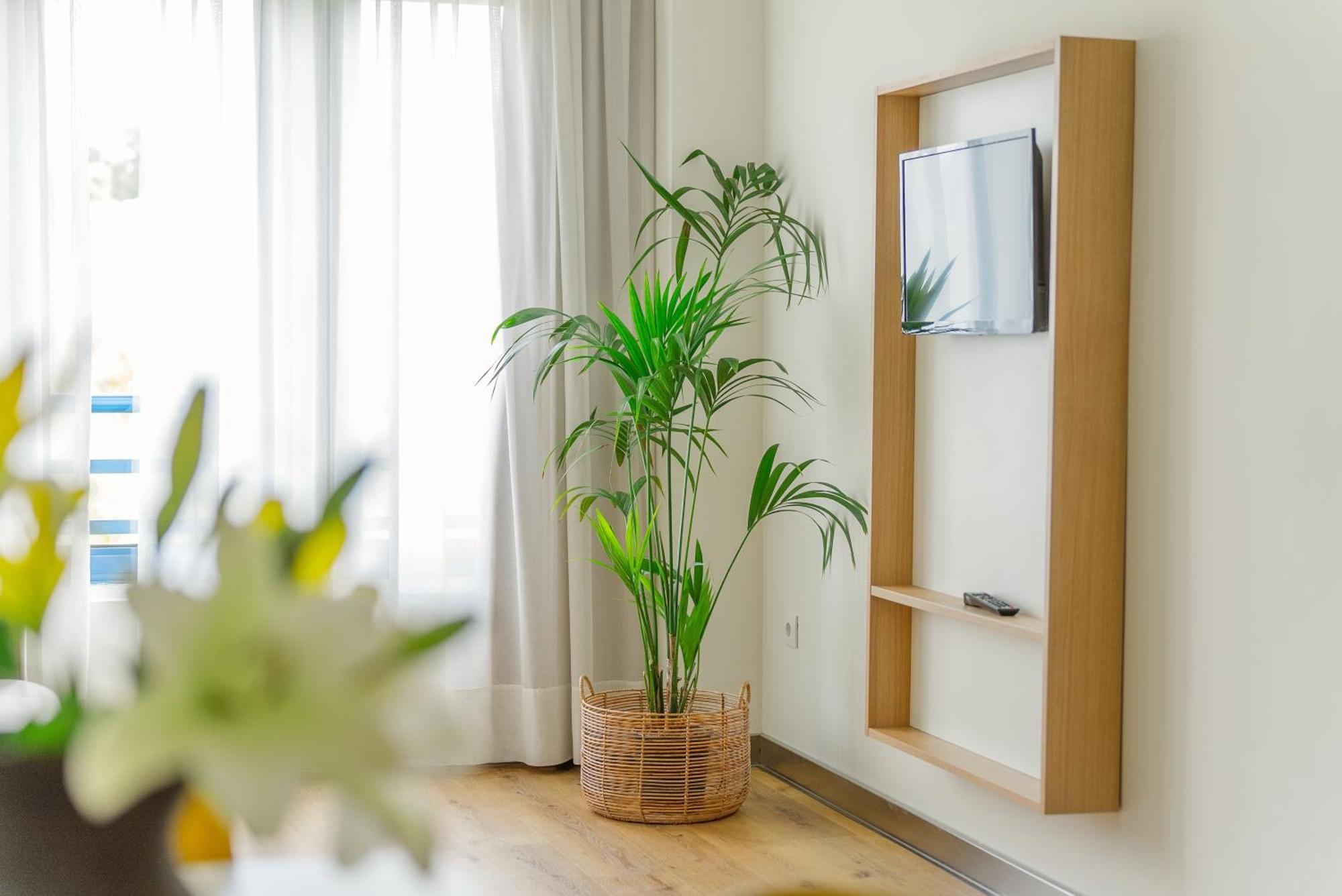 Apartamentos Dunas De Liencres Boó de Piélagos المظهر الخارجي الصورة